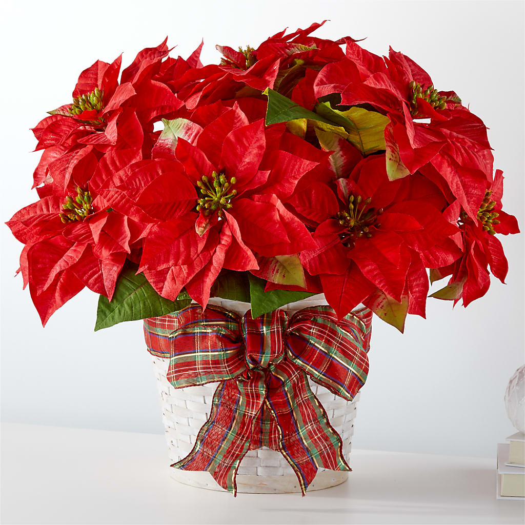 Happiest Holidays Poinsettia – BO'S ACCENT FLOWERS, Middlesboro KY