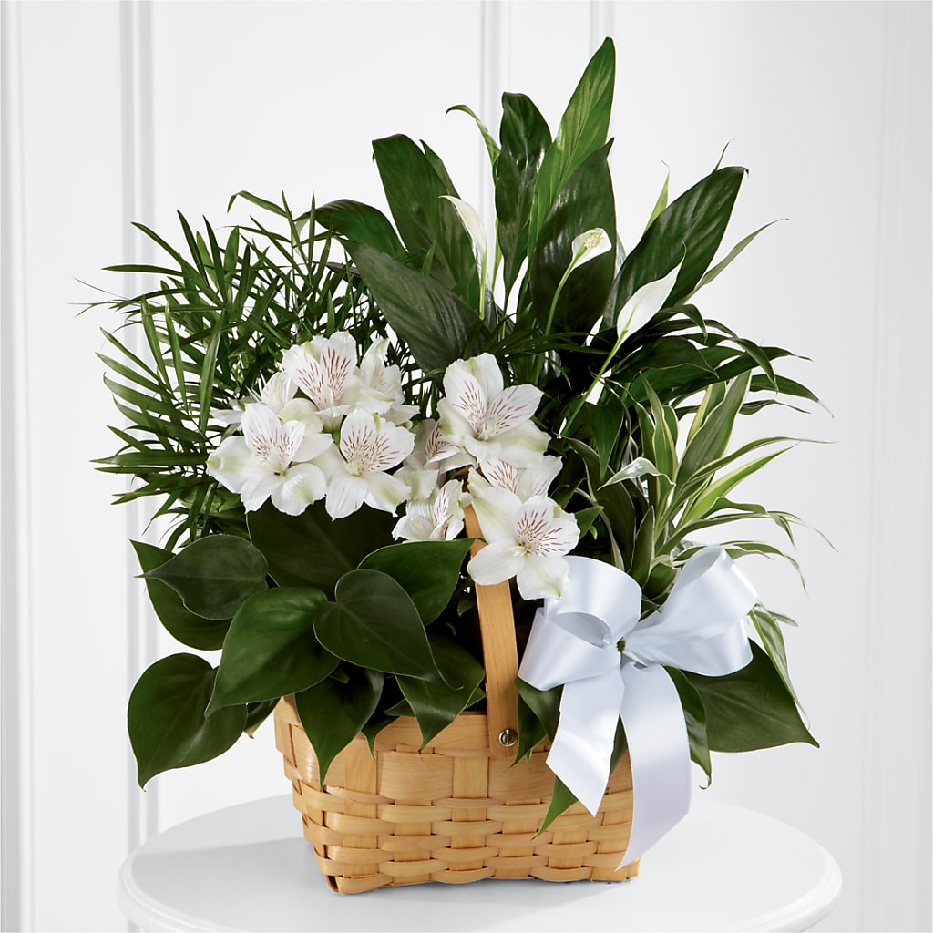 Peace & Serenity Dishgarden – BO'S ACCENT FLOWERS, Middlesboro KY