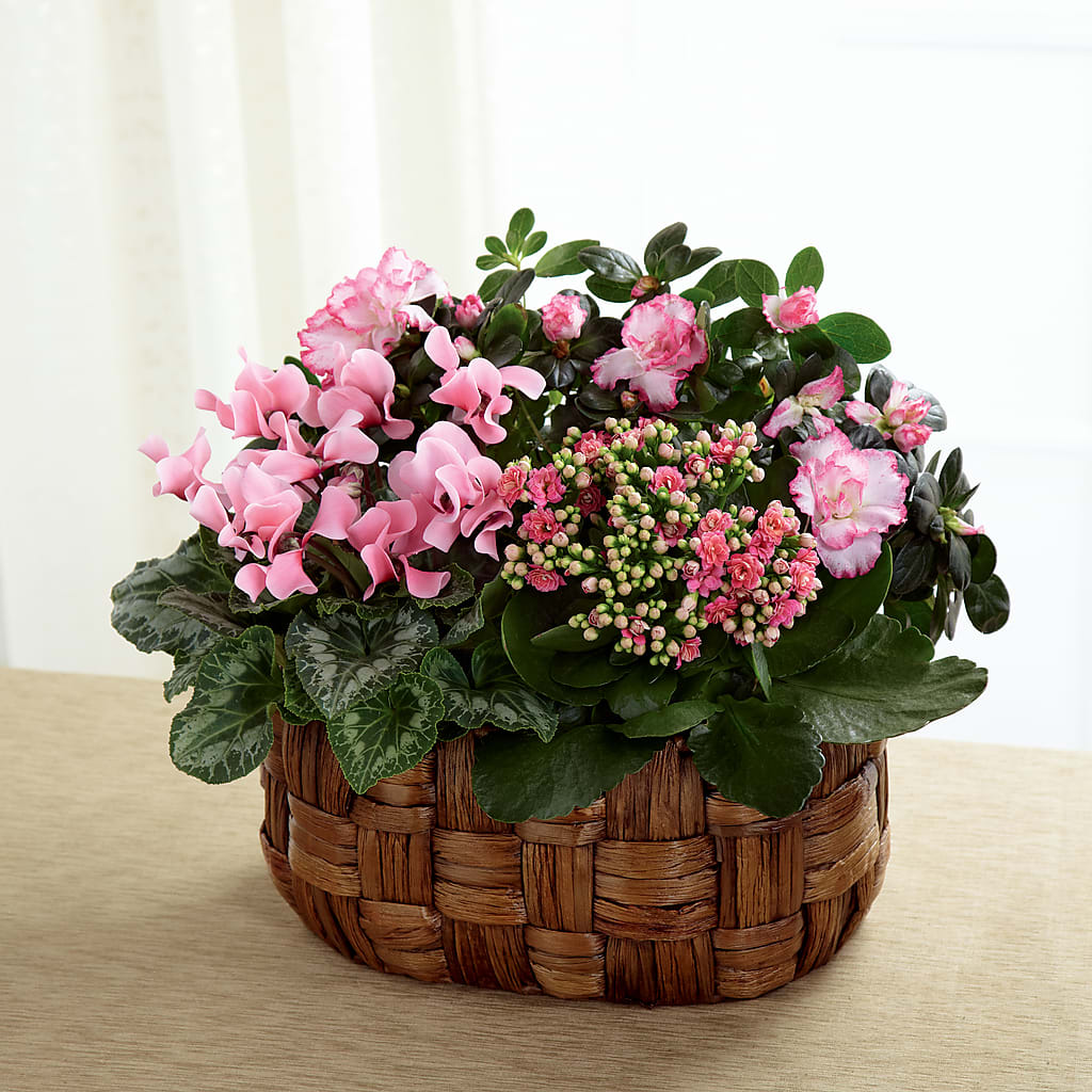 Pink Assortment – BO'S ACCENT FLOWERS, Middlesboro KY