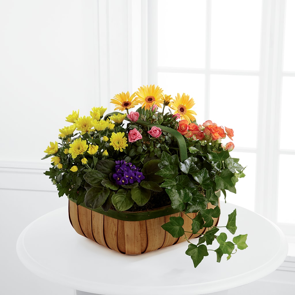 Gentle Blossoms Basket – BO'S ACCENT FLOWERS, Middlesboro KY