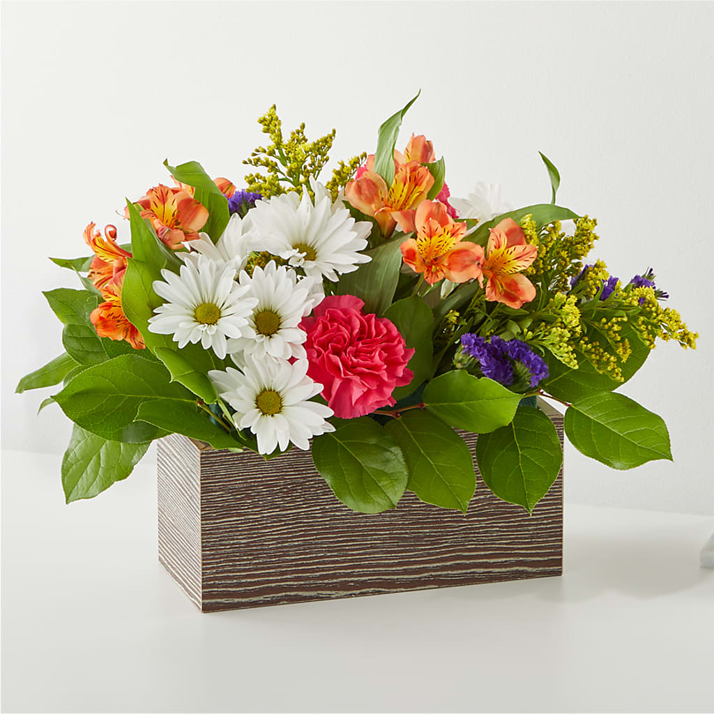 Oopsie Daisy Box Bouquet – BO'S ACCENT FLOWERS, Middlesboro KY