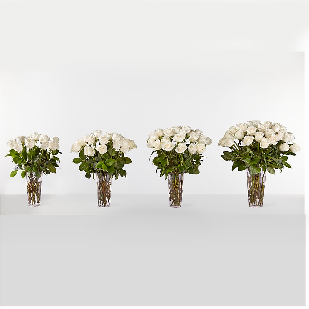 Long Stem White Rose Bouquet – BO'S ACCENT FLOWERS, Middlesboro KY
