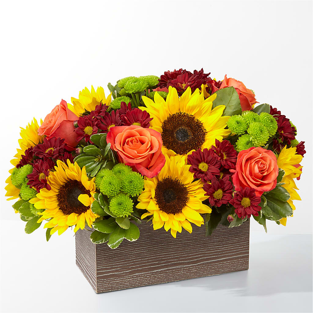 Happy Harvest Garden – BO'S ACCENT FLOWERS, Middlesboro KY