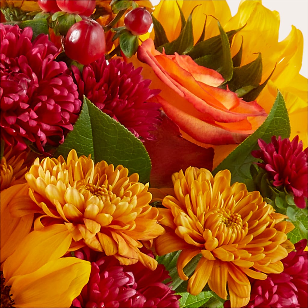 Sweater Season - A Florist Original – BO'S ACCENT FLOWERS, Middlesboro KY