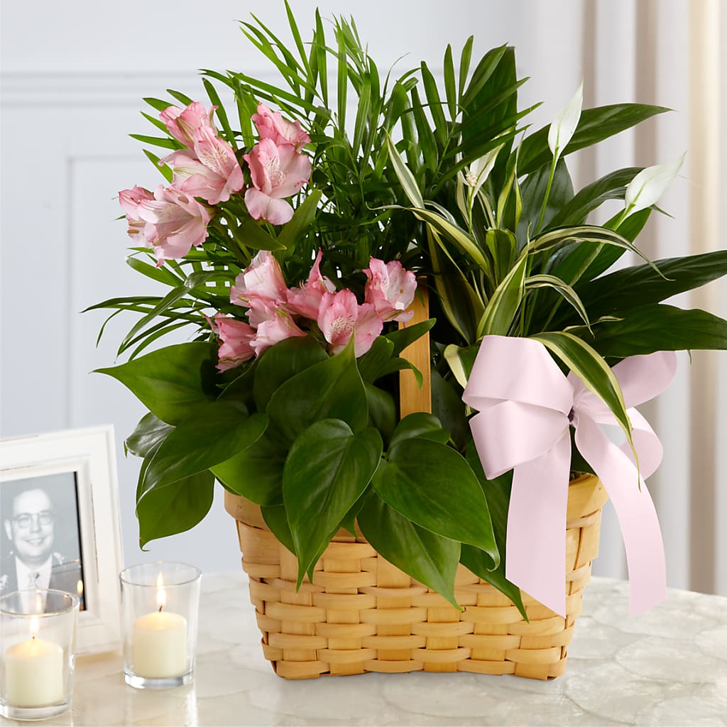 Living Spirit Dishgarden – BO'S ACCENT FLOWERS, Middlesboro KY