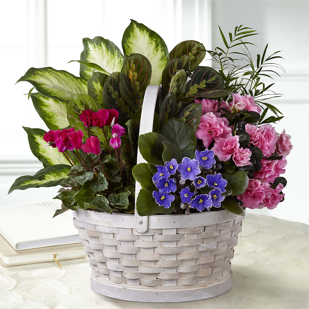 Peaceful Garden Planter – BO'S ACCENT FLOWERS, Middlesboro KY