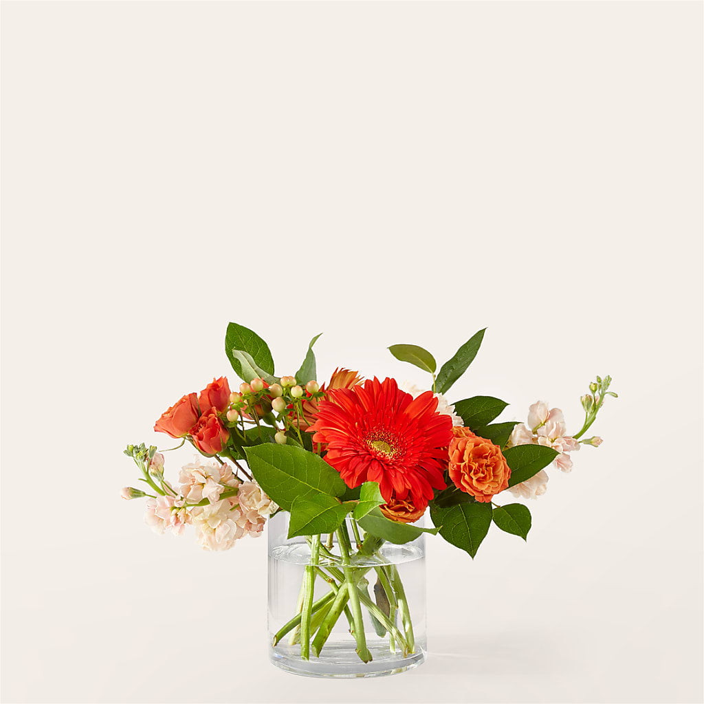 Paloma Please Bouquet – BO'S ACCENT FLOWERS, Middlesboro KY