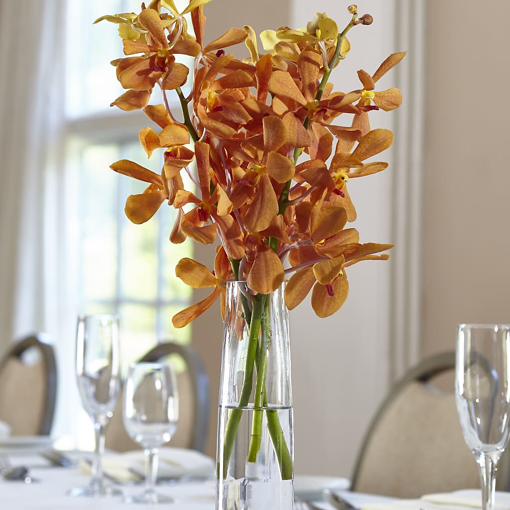 Orange Mokara Bud Vase – BO'S ACCENT FLOWERS, Middlesboro KY
