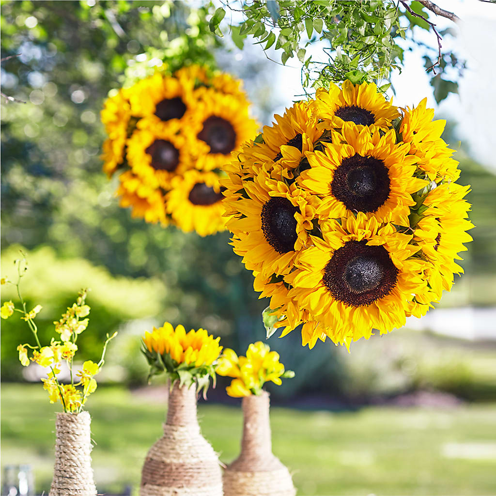 Sublime Garden Hanging Arrangement – BO'S ACCENT FLOWERS, Middlesboro KY