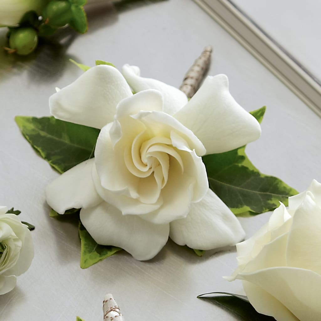 Gardenia Boutonniere – BO'S ACCENT FLOWERS, Middlesboro KY