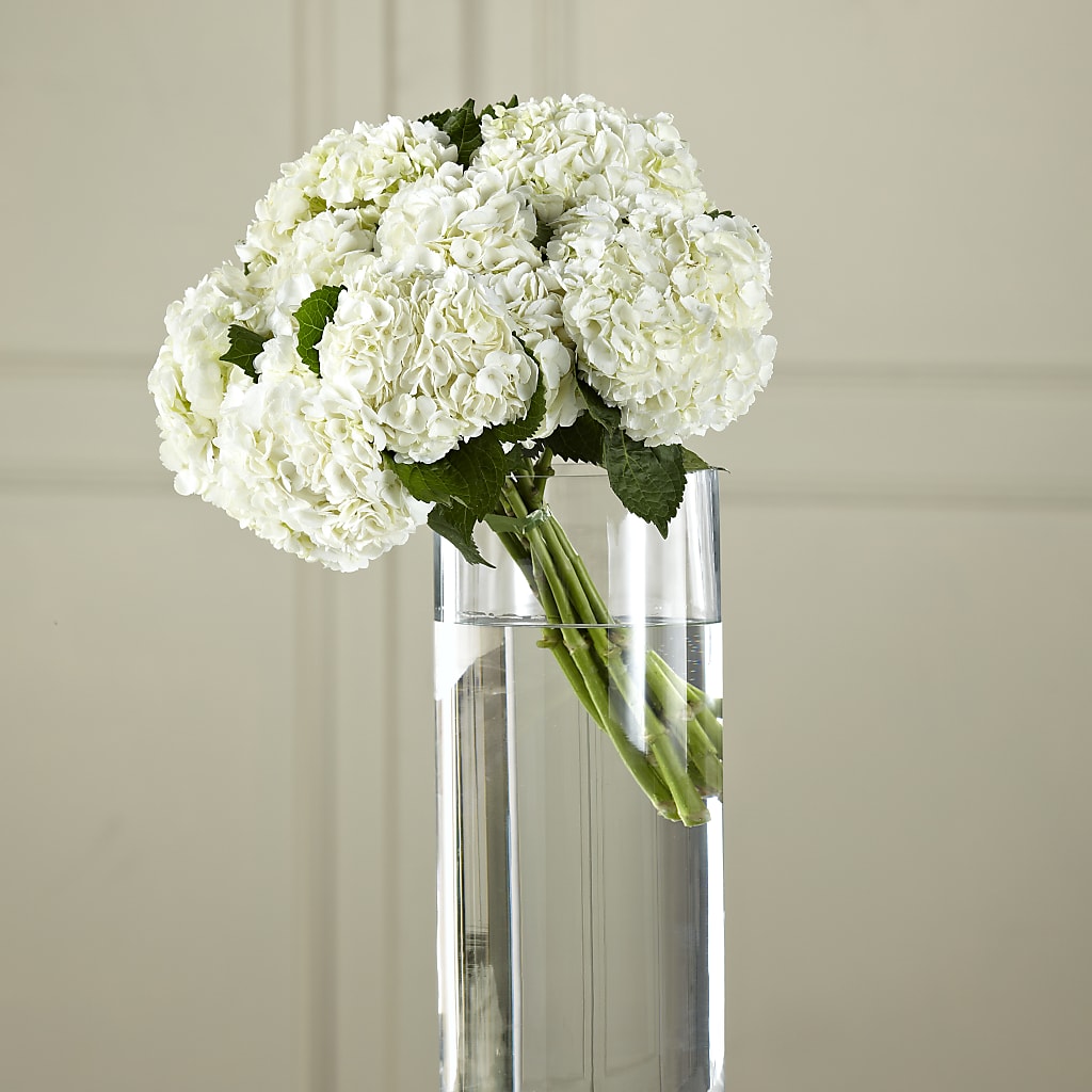 White Hydrangea Hand-Tied Bouquet – BO'S ACCENT FLOWERS, Middlesboro KY