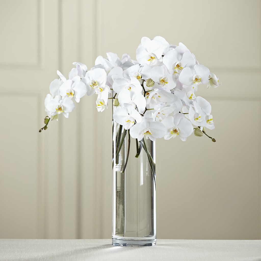 White Phalaenopsis Bouquet – BO'S ACCENT FLOWERS, Middlesboro KY