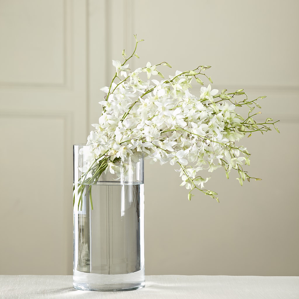 White Dendrobium Bouquet – BO'S ACCENT FLOWERS, Middlesboro KY