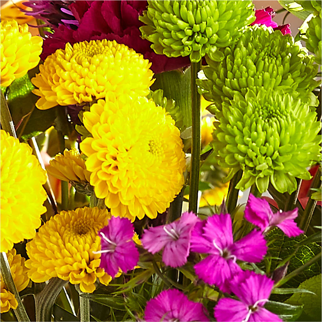 Bold & Bright – A Florist Original – BO'S ACCENT FLOWERS, Middlesboro KY