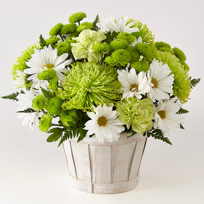 Lucky Charm Basket (Standard) – BO'S ACCENT FLOWERS, Middlesboro KY