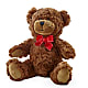 Adorable Plush Bear – BO'S ACCENT FLOWERS, Middlesboro KY