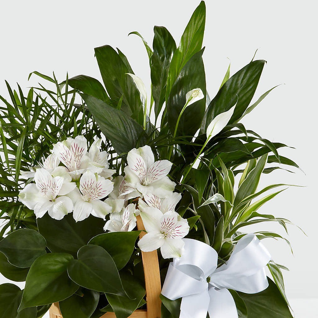 Peace & Serenity Dishgarden – BO'S ACCENT FLOWERS, Middlesboro KY