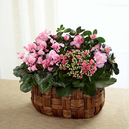 Pink Assortment – BO'S ACCENT FLOWERS, Middlesboro KY