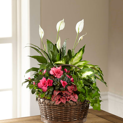 Dream in Pink Dishgarden – BO'S ACCENT FLOWERS, Middlesboro KY