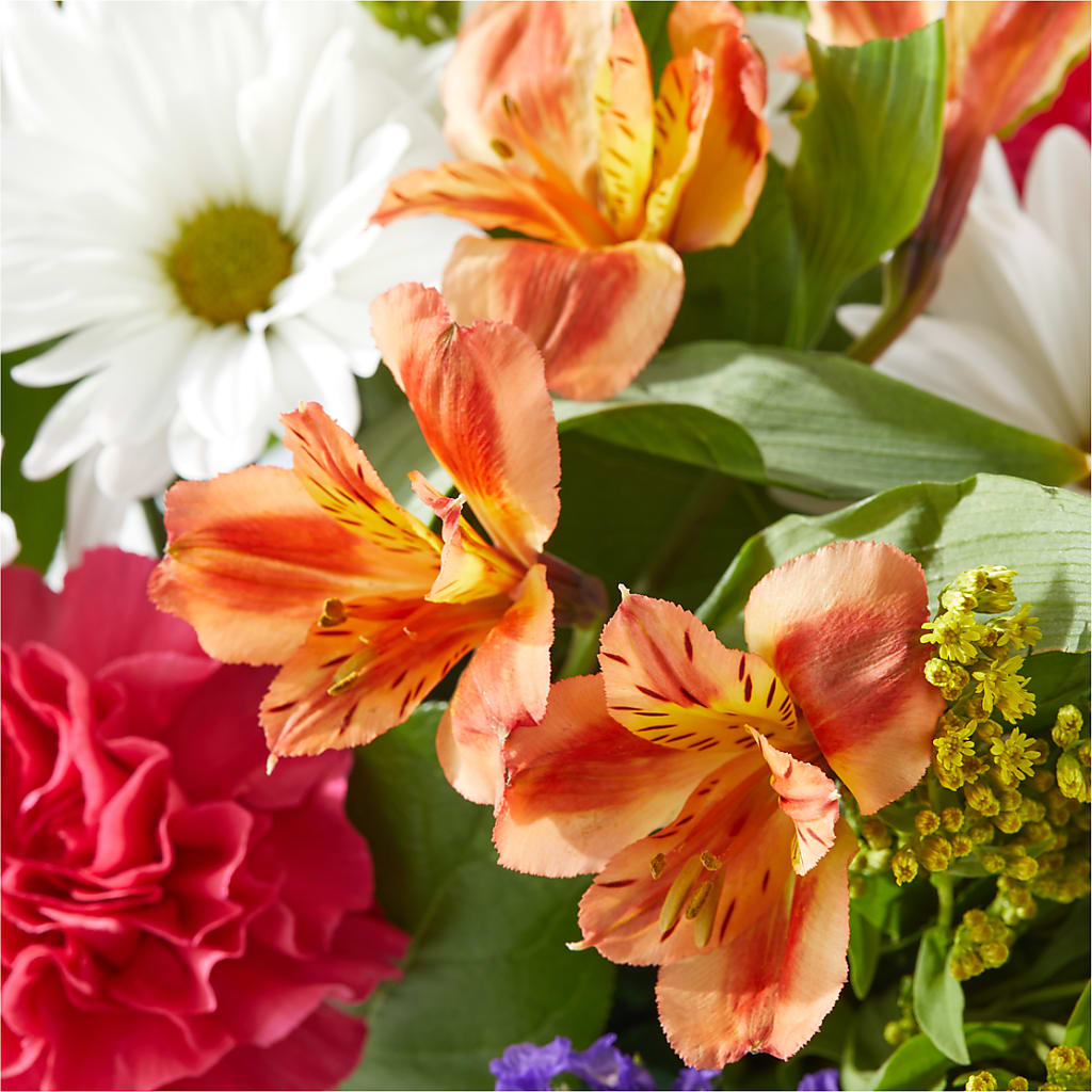 Oopsie Daisy Box Bouquet – BO'S ACCENT FLOWERS, Middlesboro KY