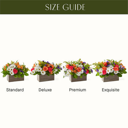 Oopsie Daisy Box Bouquet – BO'S ACCENT FLOWERS, Middlesboro KY