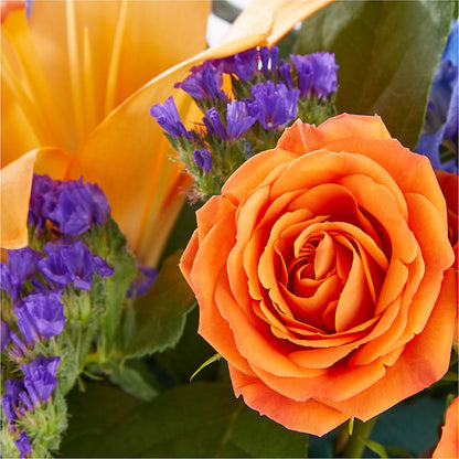 Radiant Citrus Box Bouquet – BO'S ACCENT FLOWERS, Middlesboro KY