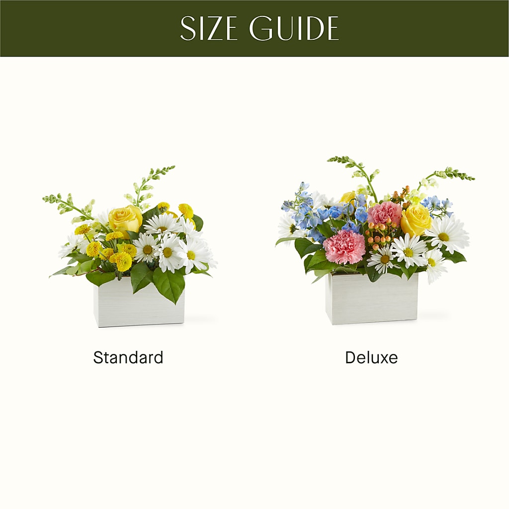 Sun Salutation Box Bouquet – BO'S ACCENT FLOWERS, Middlesboro KY