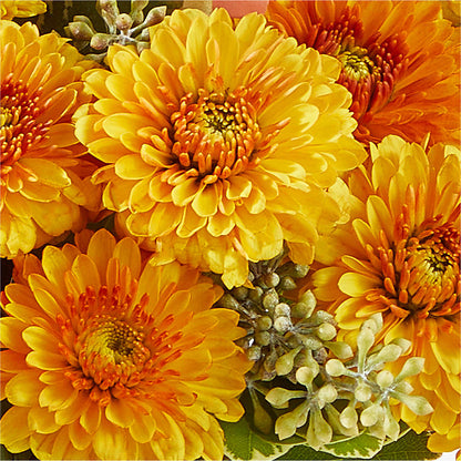Peachy Pumpkin – BO'S ACCENT FLOWERS, Middlesboro KY