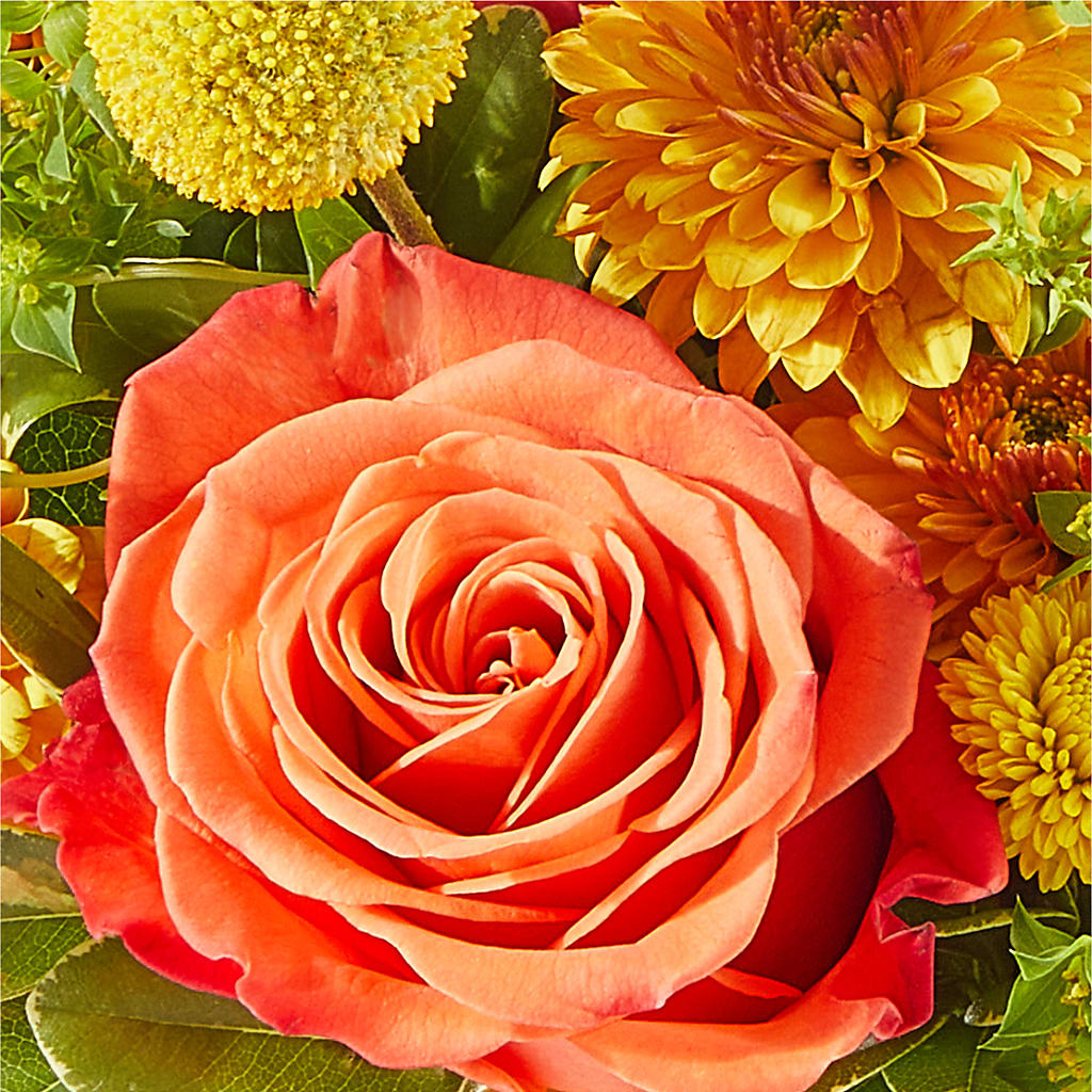 Gourdgeous Pumpkin – BO'S ACCENT FLOWERS, Middlesboro KY