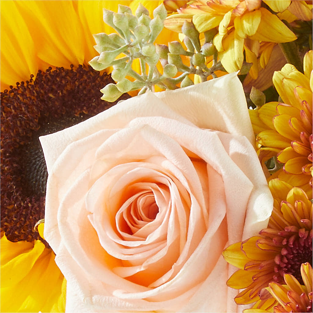 Pumpkin to Talk About Bouquet – BO'S ACCENT FLOWERS, Middlesboro KY