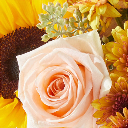 Pumpkin to Talk About Bouquet – BO'S ACCENT FLOWERS, Middlesboro KY