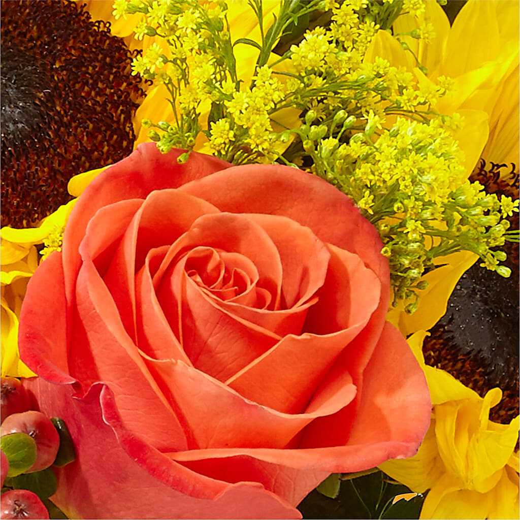 Pick of the Patch Pumpkin Bouquet – BO'S ACCENT FLOWERS, Middlesboro KY