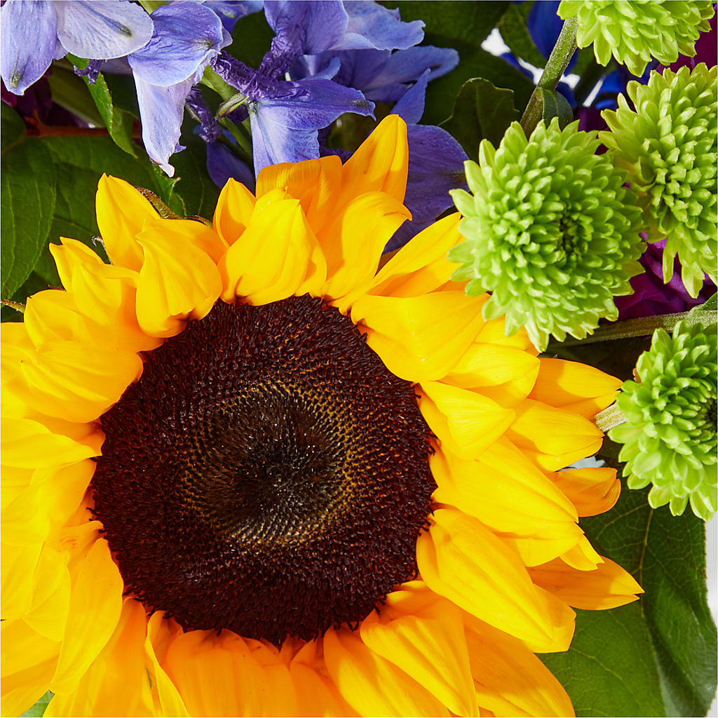Catching Rays Bouquet – BO'S ACCENT FLOWERS, Middlesboro KY