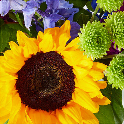Catching Rays Bouquet – BO'S ACCENT FLOWERS, Middlesboro KY