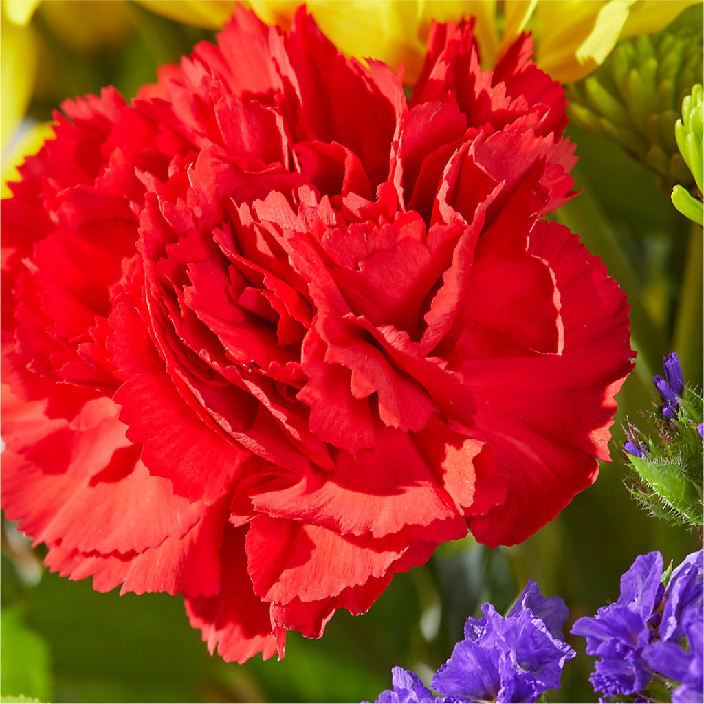 Brighter Days Bouquet – BO'S ACCENT FLOWERS, Middlesboro KY