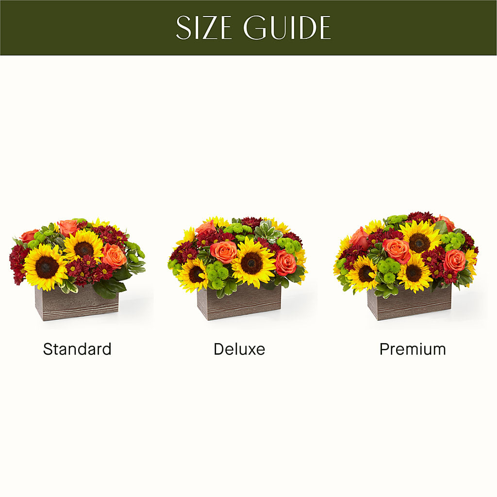 Happy Harvest Garden – BO'S ACCENT FLOWERS, Middlesboro KY