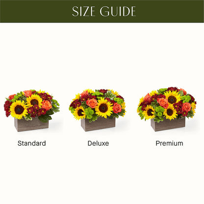 Happy Harvest Garden – BO'S ACCENT FLOWERS, Middlesboro KY