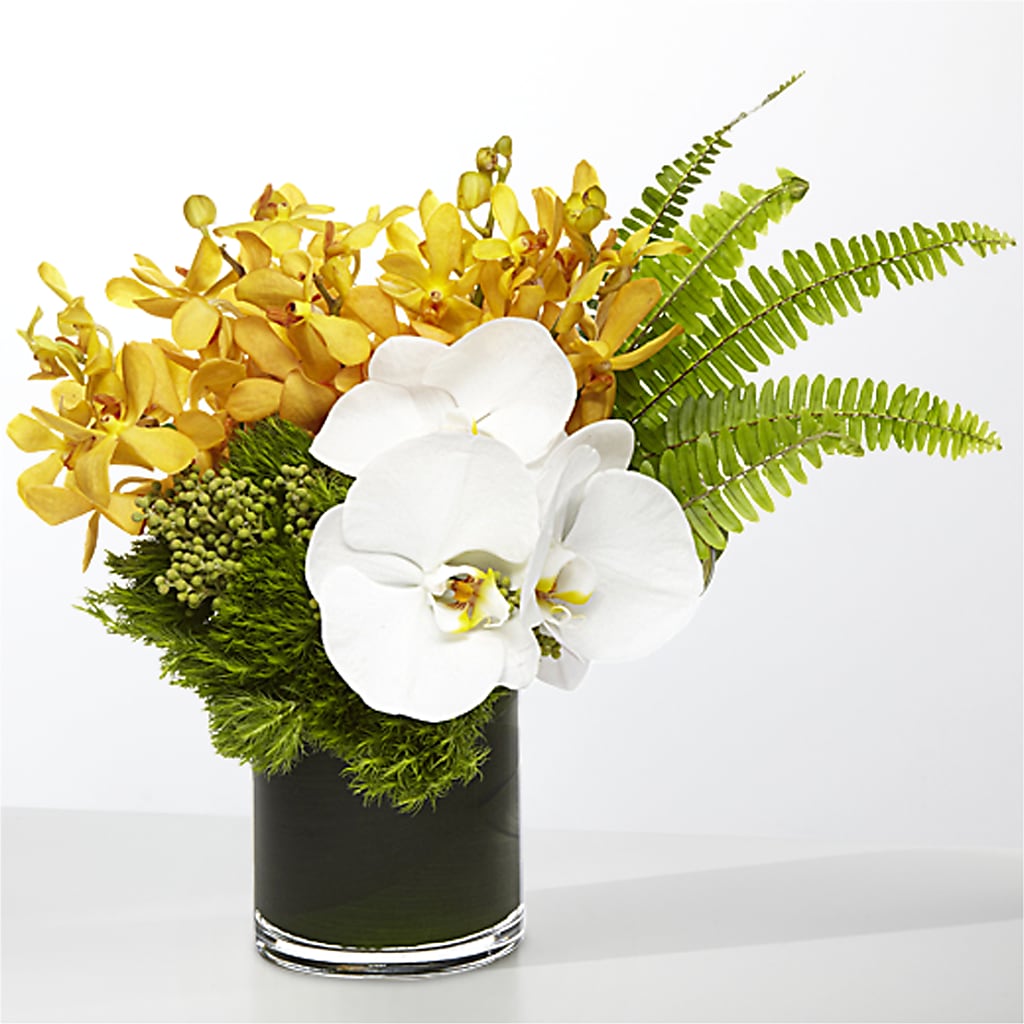 The Tropics – BO'S ACCENT FLOWERS, Middlesboro KY