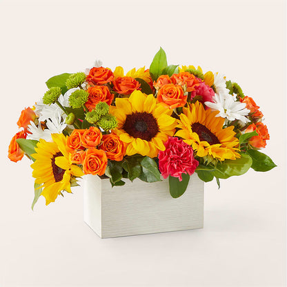 Sun-drenched Blooms Box Bouquet – BO'S ACCENT FLOWERS, Middlesboro KY