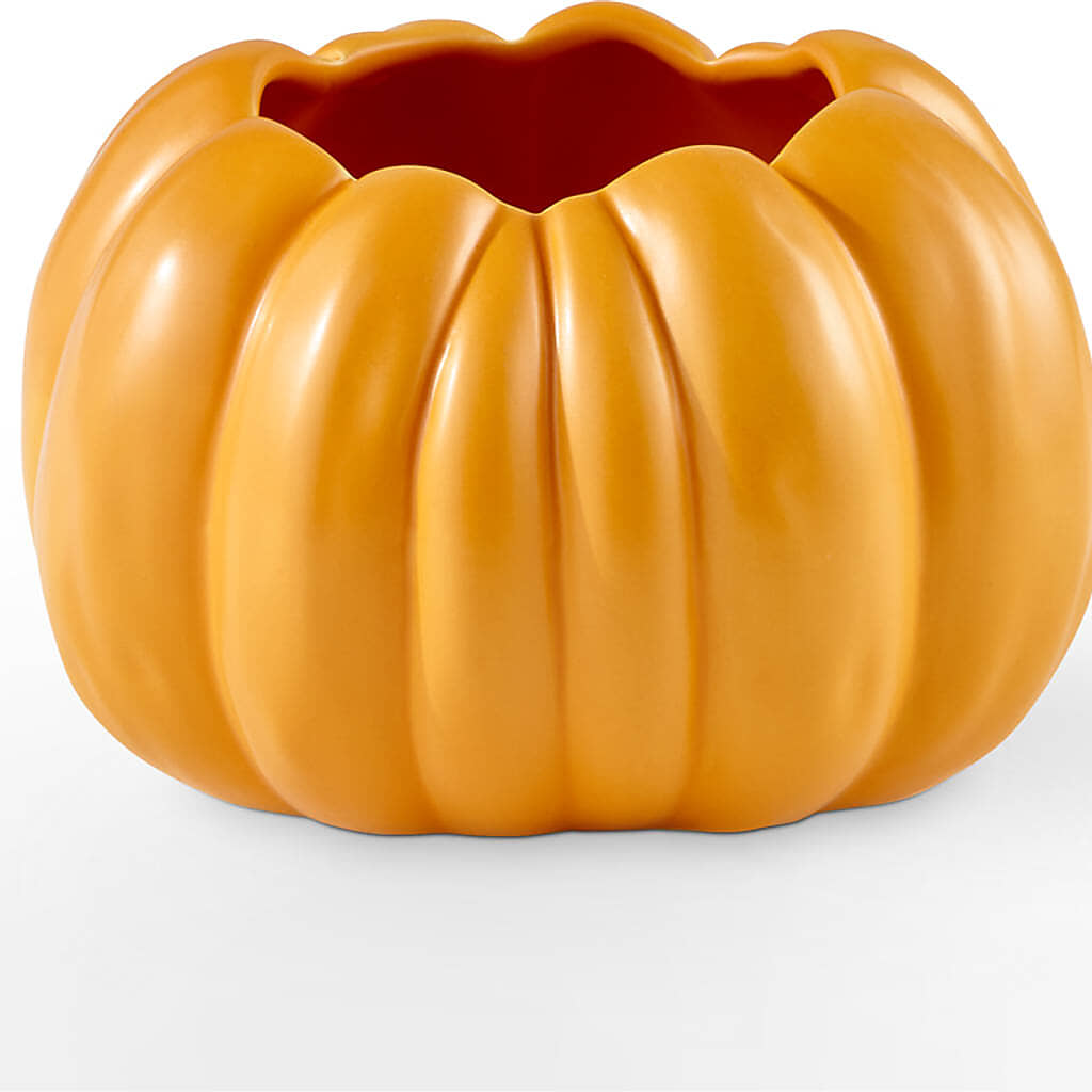 Pick of the Patch Pumpkin Bouquet – BO'S ACCENT FLOWERS, Middlesboro KY