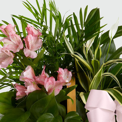Living Spirit Dishgarden – BO'S ACCENT FLOWERS, Middlesboro KY