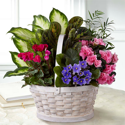 Peaceful Garden Planter – BO'S ACCENT FLOWERS, Middlesboro KY