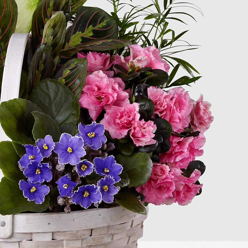 Peaceful Garden Planter – BO'S ACCENT FLOWERS, Middlesboro KY