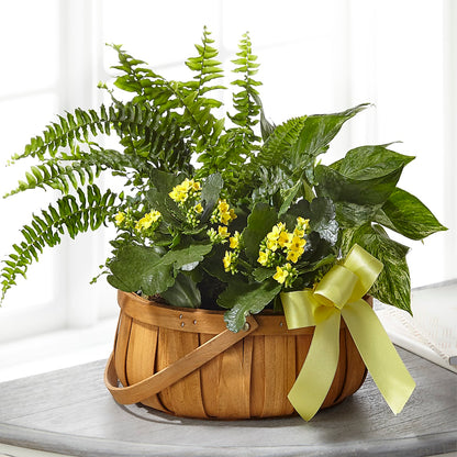 Always Dear Dishgarden – BO'S ACCENT FLOWERS, Middlesboro KY