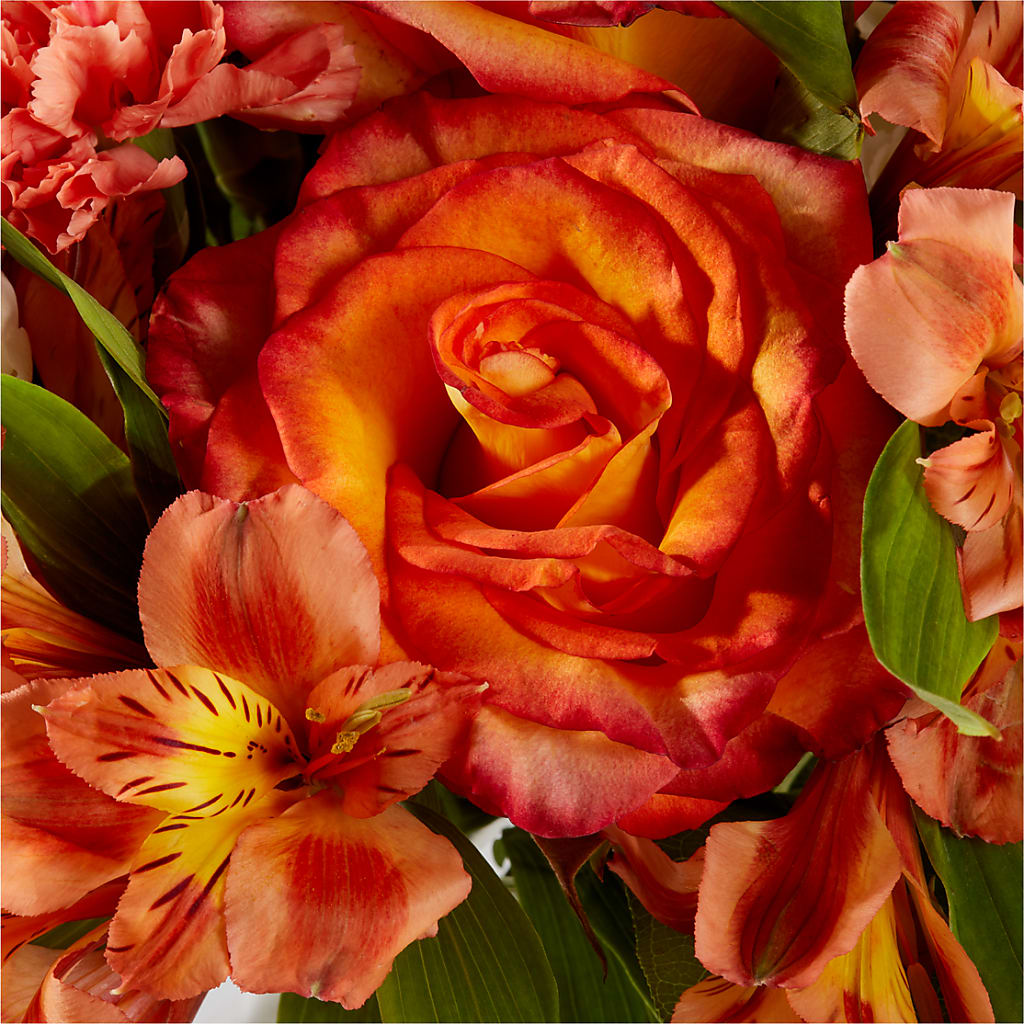 Apricot Glow Bouquet – BO'S ACCENT FLOWERS, Middlesboro KY