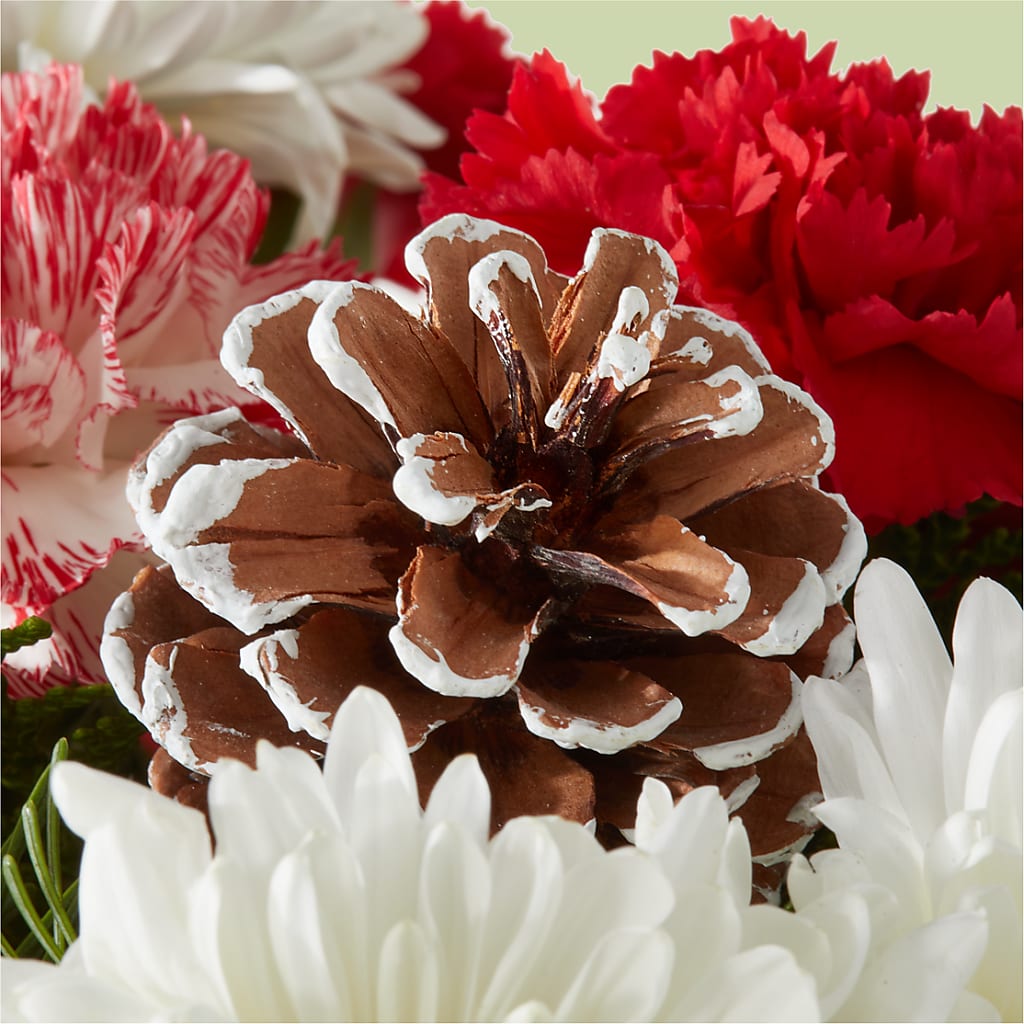 Candy Cane Lane Bouquet – BO'S ACCENT FLOWERS, Middlesboro KY