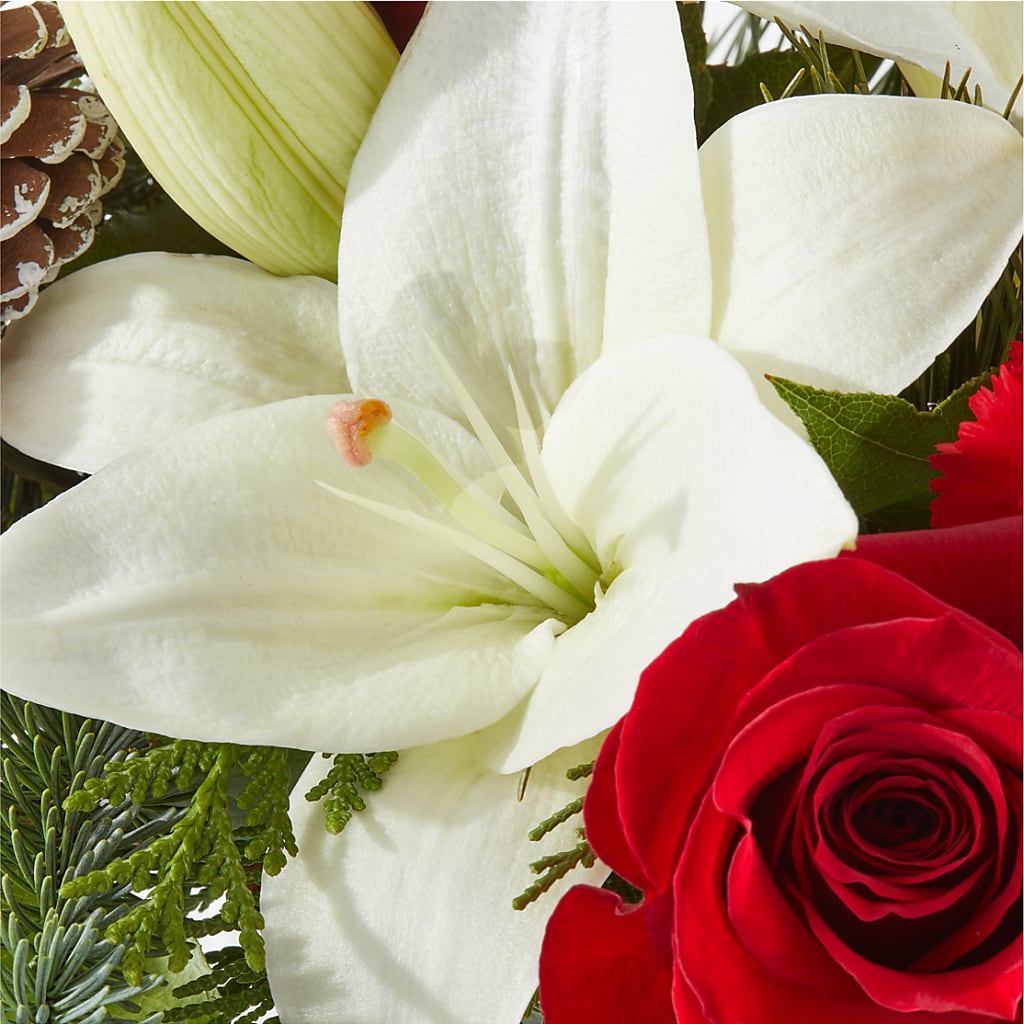 Oh So Jolly Bouquet – BO'S ACCENT FLOWERS, Middlesboro KY