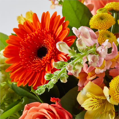 Autumn Sunshine Bouquet – BO'S ACCENT FLOWERS, Middlesboro KY