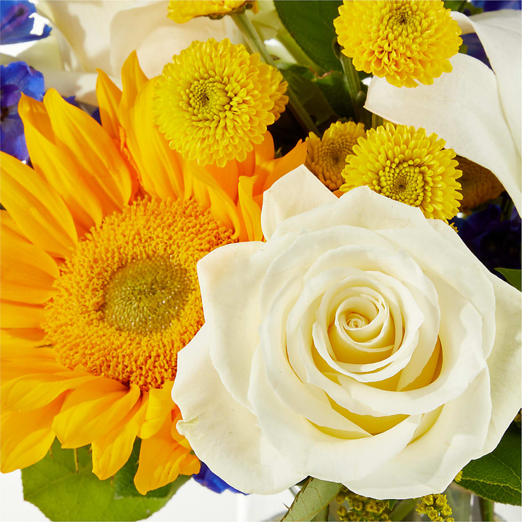 Stargazing Bouquet – BO'S ACCENT FLOWERS, Middlesboro KY