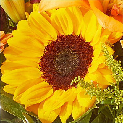Seasons Change Bouquet – BO'S ACCENT FLOWERS, Middlesboro KY